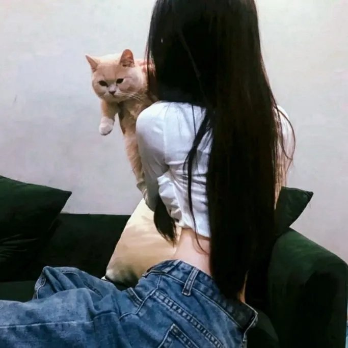 翠狐戏夫