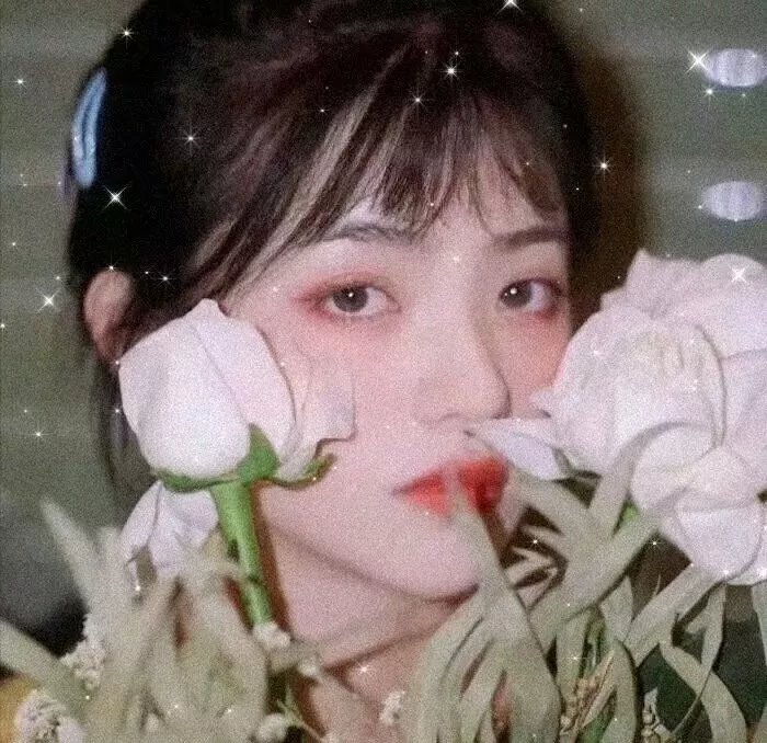 芒果最大牌2019